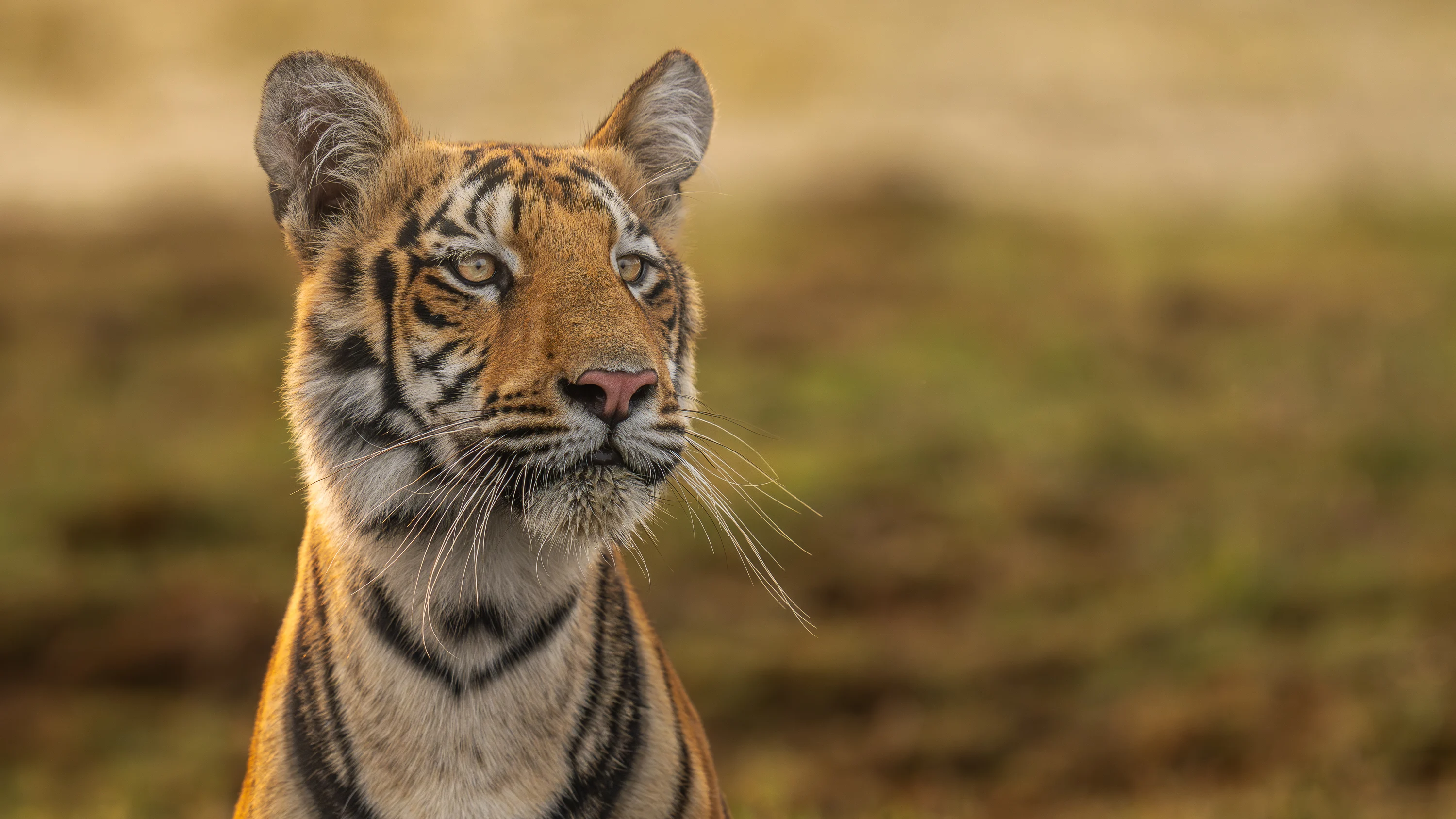 Instagram Post Placeholder